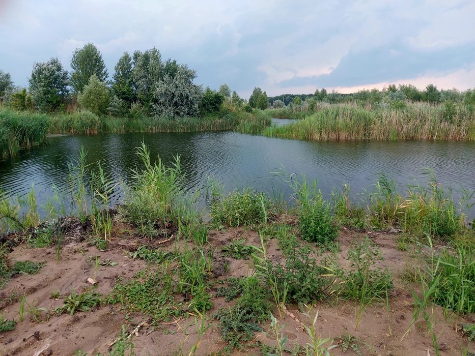 Живописна ділянка в с. Коробівка