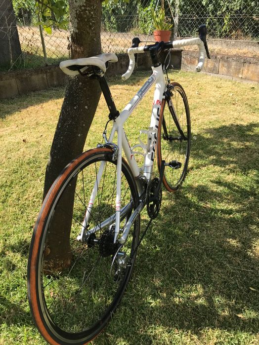 Bicicleta Focus estrada