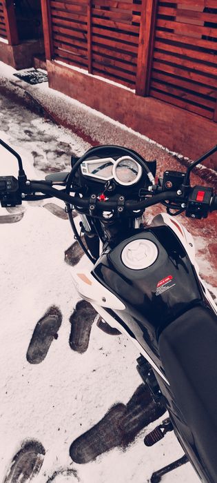 Продам Лонкін прус