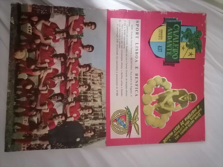 Equipa do BENFICA 1960 Cavaleiro Andante Completo