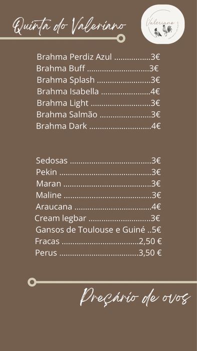 Ovos Férteis para Incubação de várias raças puras