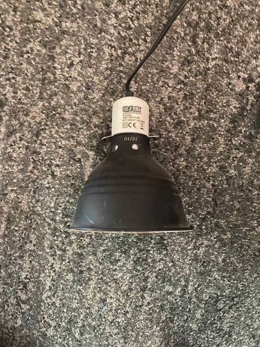 Terrário (Terrario para réptil como camaleão)