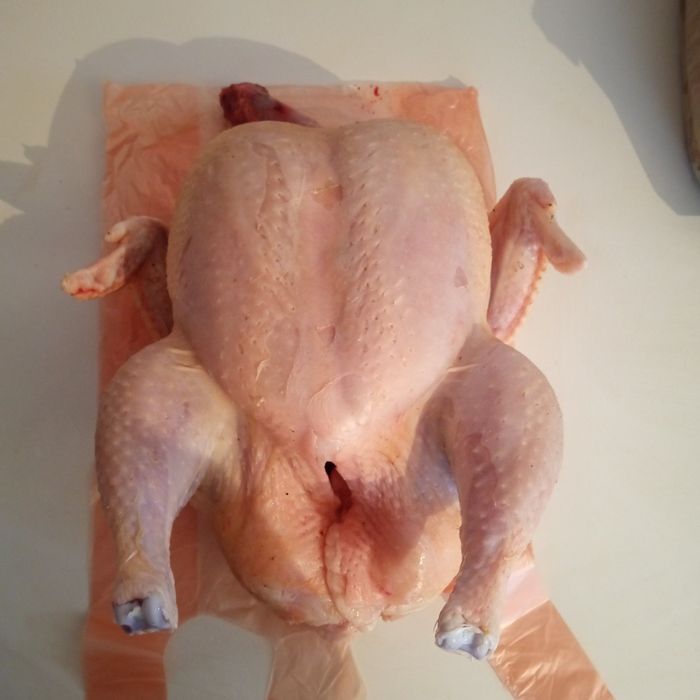 Домашний бройлер