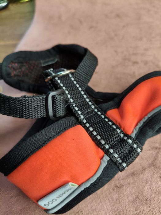 Małe pomarańczowe szelki dla psa 53