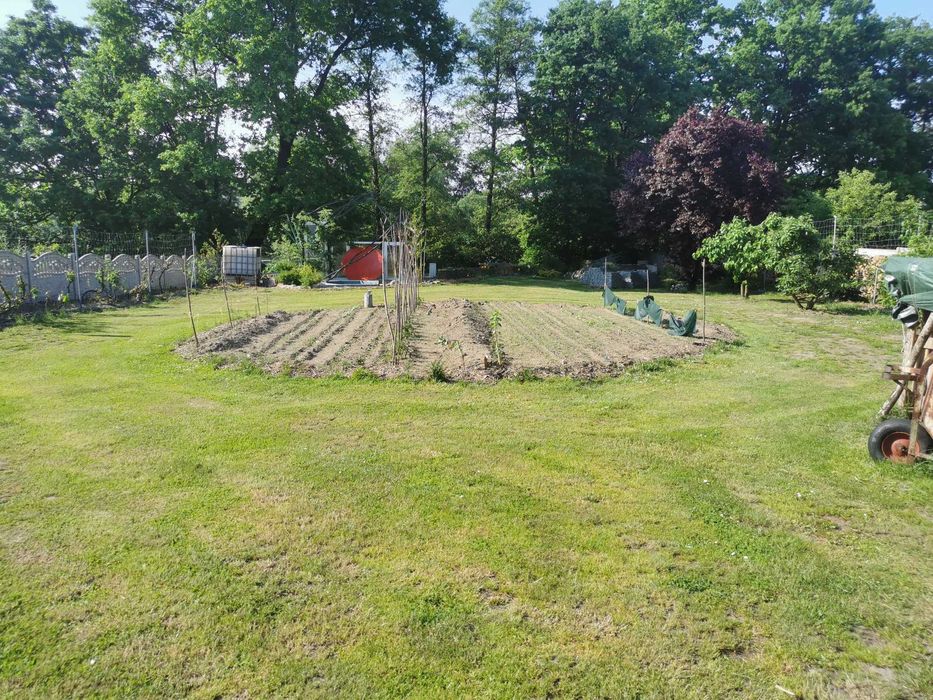 Urokliwy dom z ogrodem