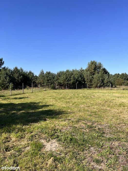 Działka budowlana 1520 m² przy Puszczy Noteckiej – Jaracz, ul. Sokola - Widok 5