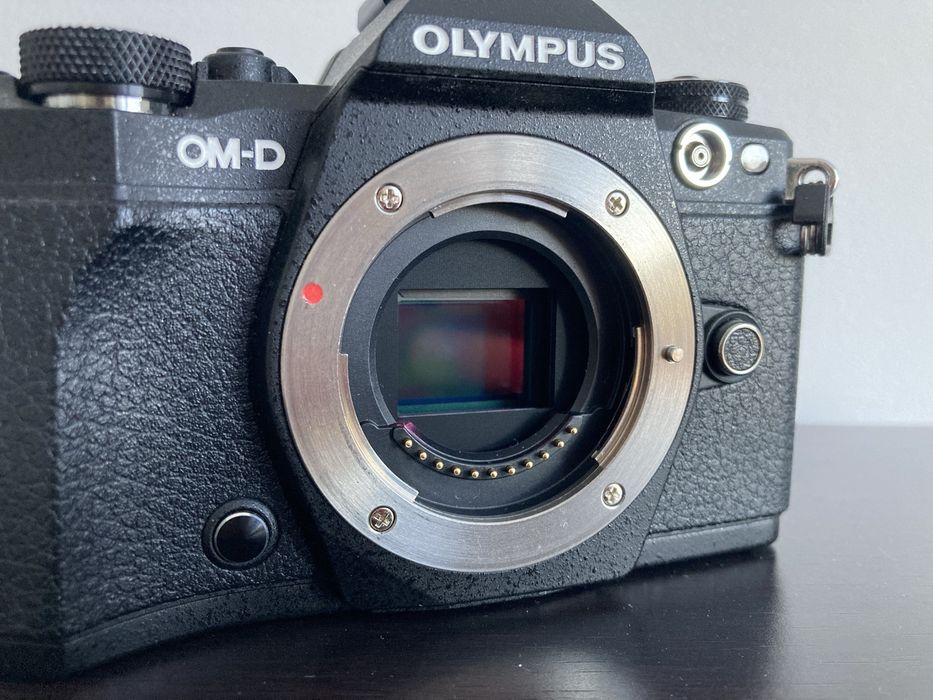 Olympus OM-D E-M5 Mark II. Przebieg migawki 6354 zdjęć