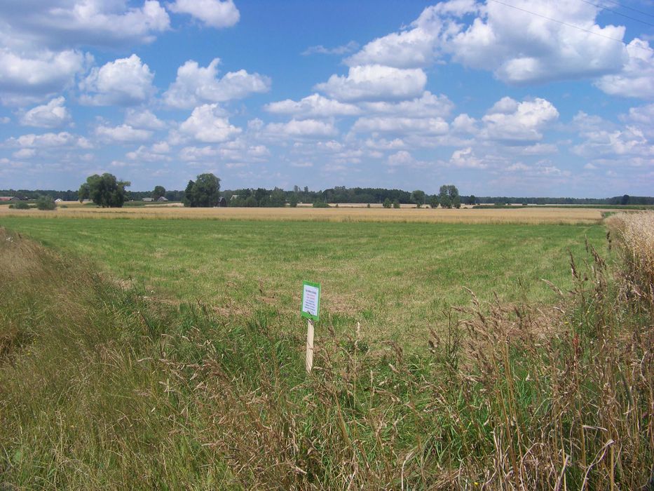 Sprzedam działkę Tończa