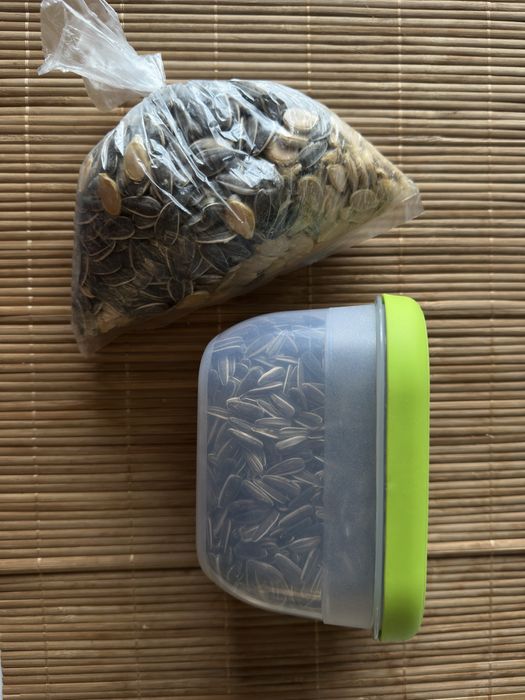 Oddam za darmo ziarna dyni i słonecznika