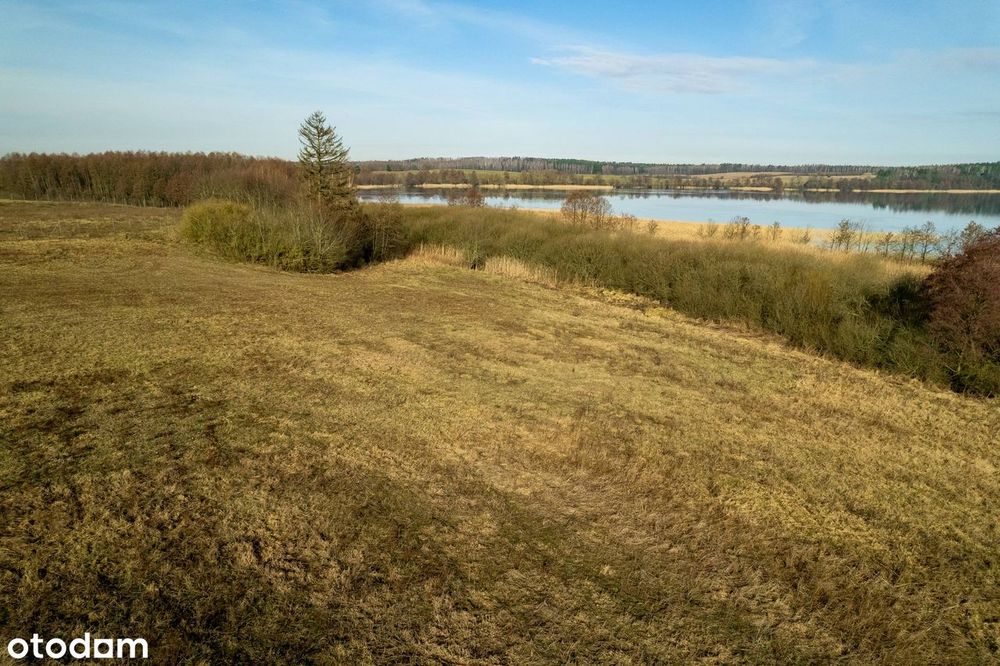 Działka budowlana 9900 m² i linia brzegową - View 6