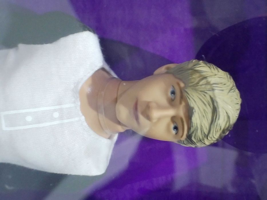 1szt Epee One Direction Lalka figurka 30cm do wyboru Harry Niall Zayn Louis
