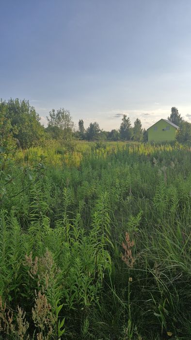 Продаж земельної ділянки у місті, р-н Крошня ( Хутір Дальній )