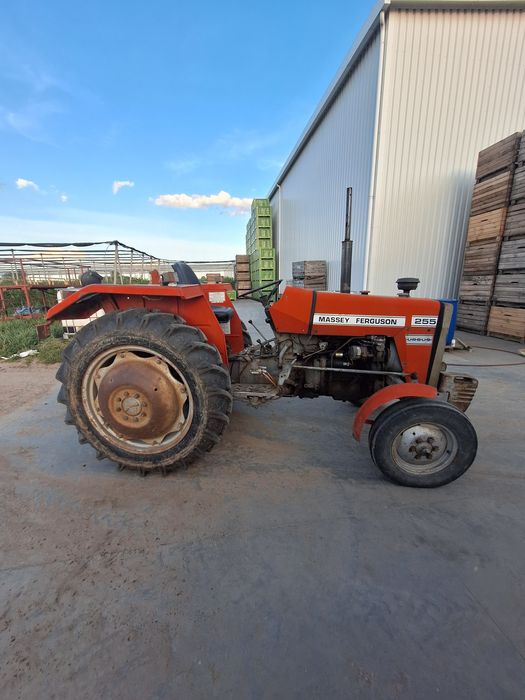 Massey Ferguson 255