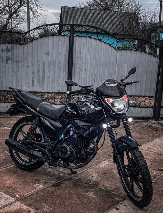 Musstang region 150 2022