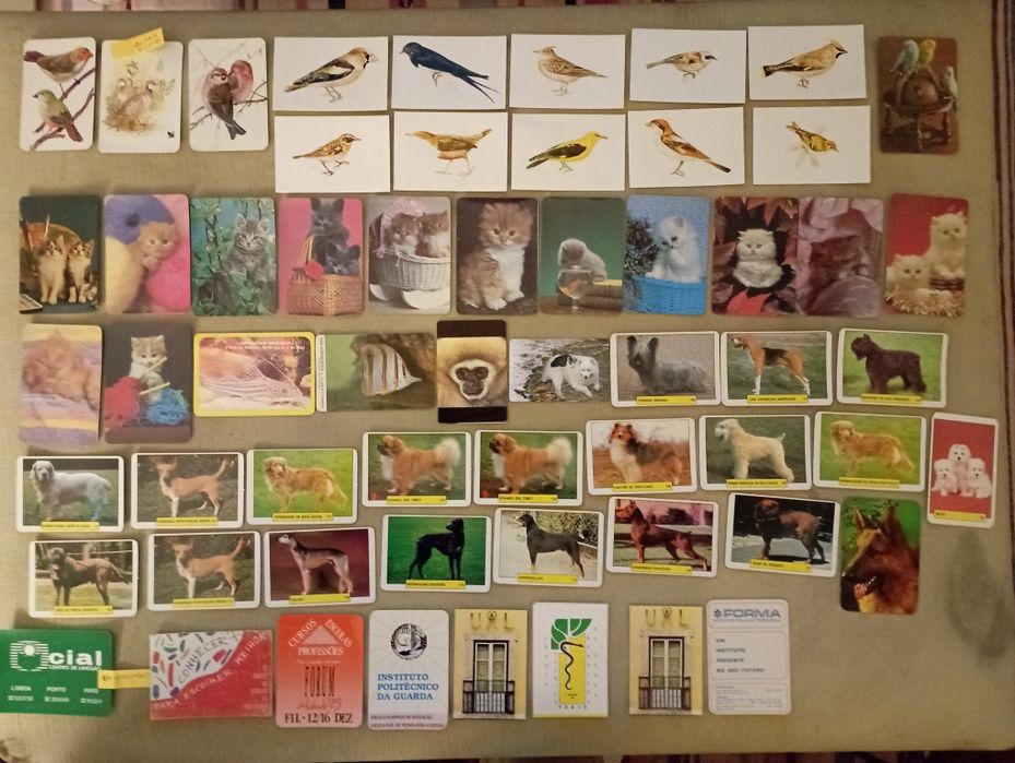 Calendários de bolso