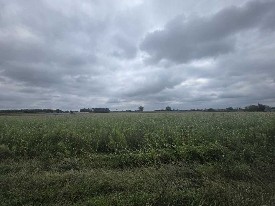 Działa w otoczeniu natury! - Widok 2