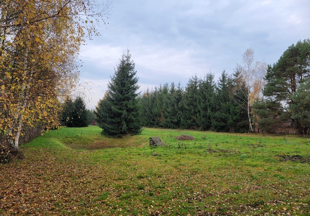 Budynek usługowo-produkcyjny 700m2 z dz niezabudowaną, Borowa, Rzeszów