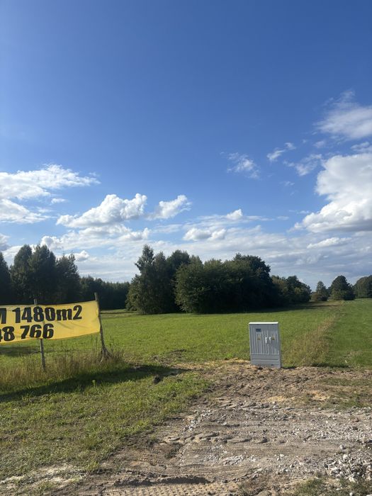 Zdjęcie 3