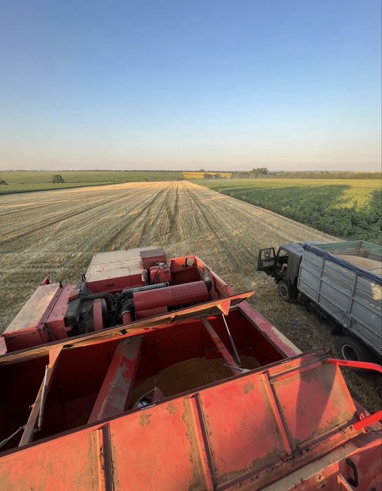 Massey Ferguson 40