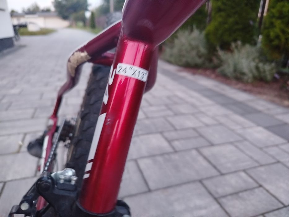 Rayon Viper Czerwony 24'' 2X Disc