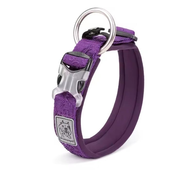 нашийники чорний та фіолетовий