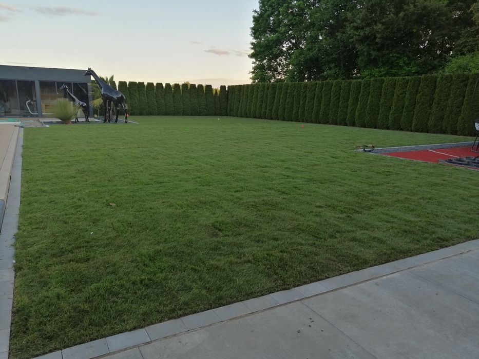 Przygotowanie Terenu pod trawnik, Glebogryzarką separacyjną