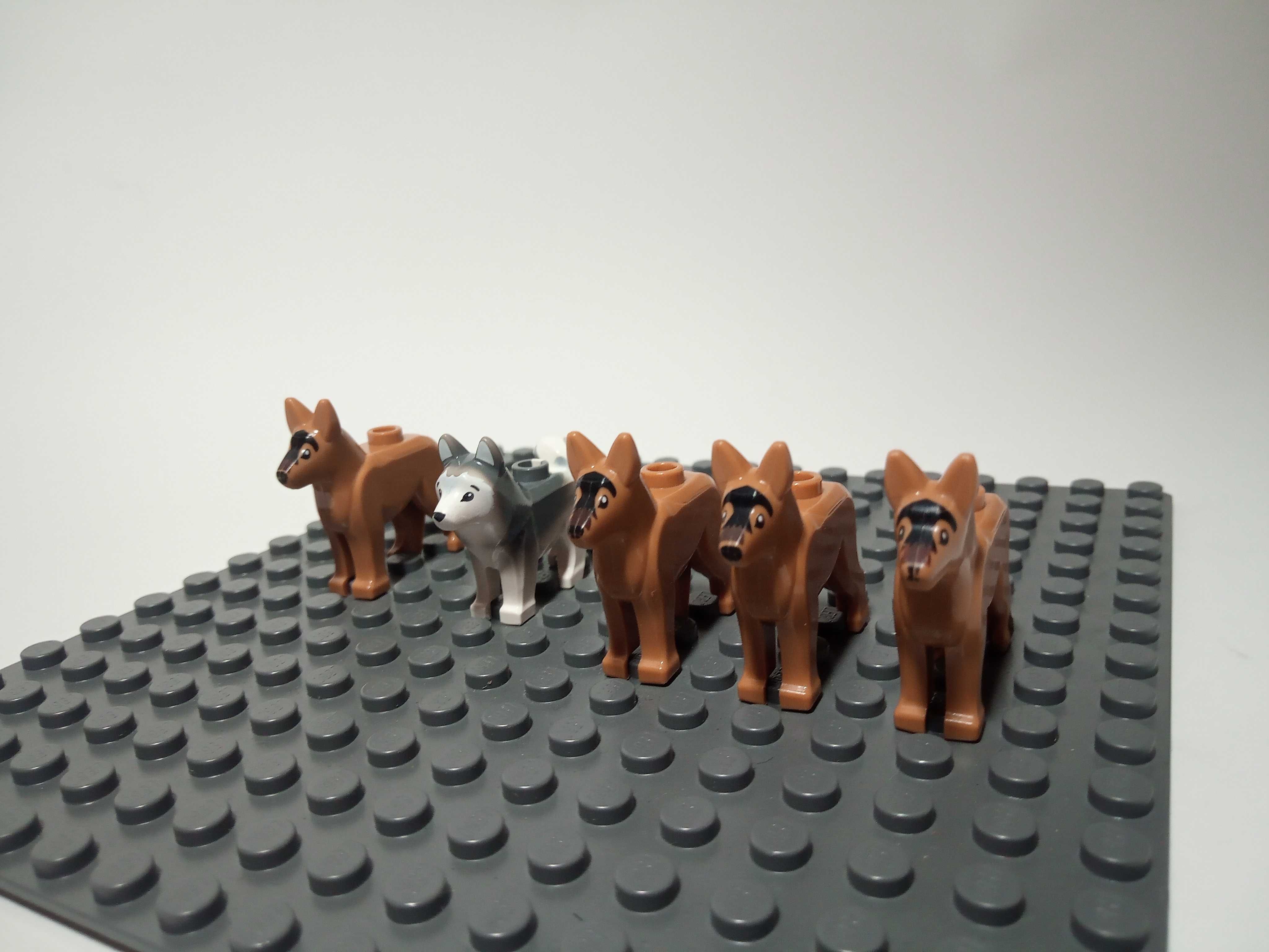 Lego city husky hot sale