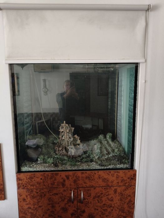 Продам акваріум з фільтром очищення