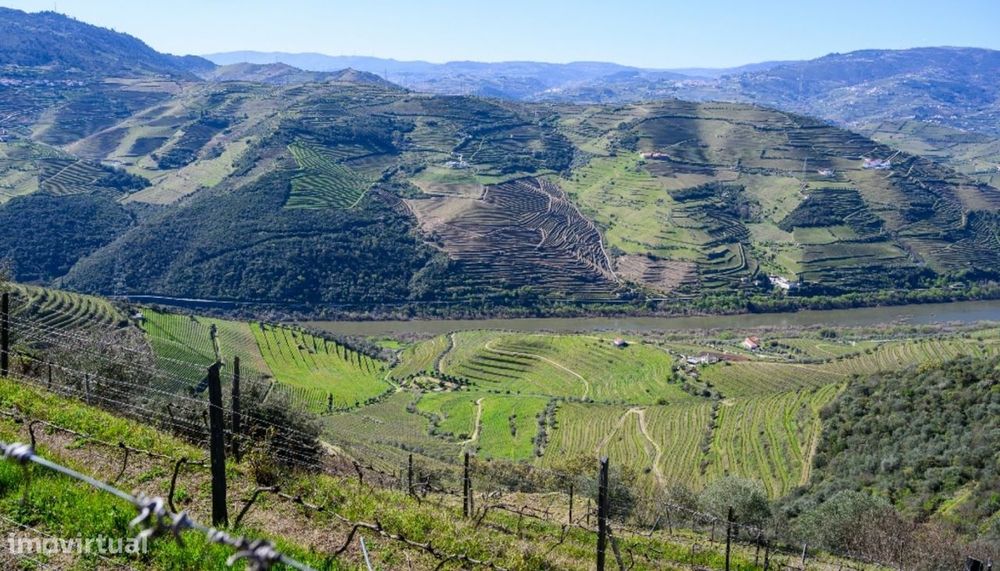 Quinta vínicola à venda no Peso da Régua no Douro Valley