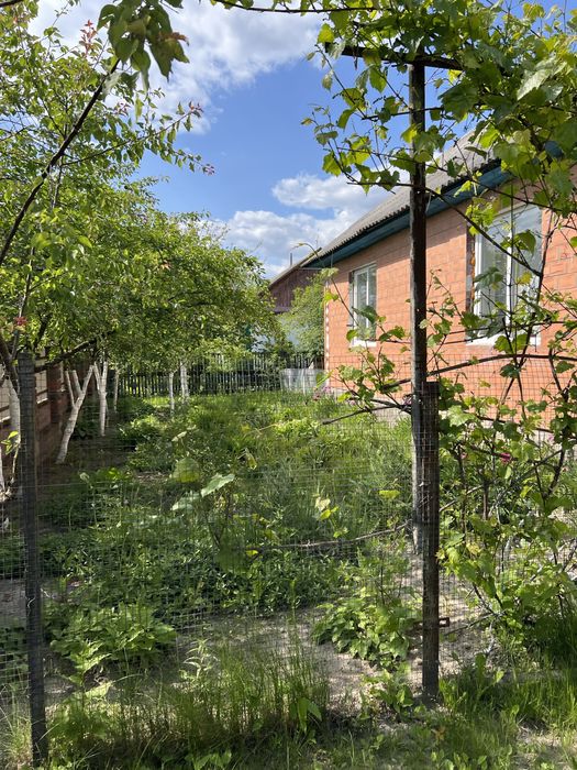 Продається будинок у мальовничому селі