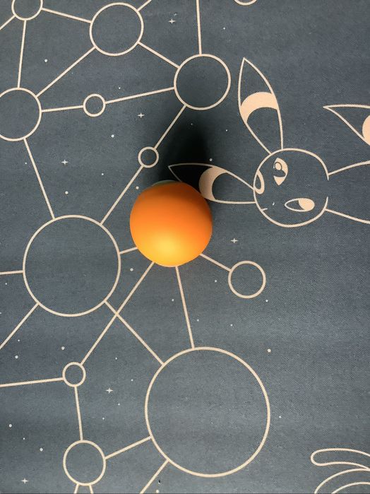 Mądre zabawki dla kota