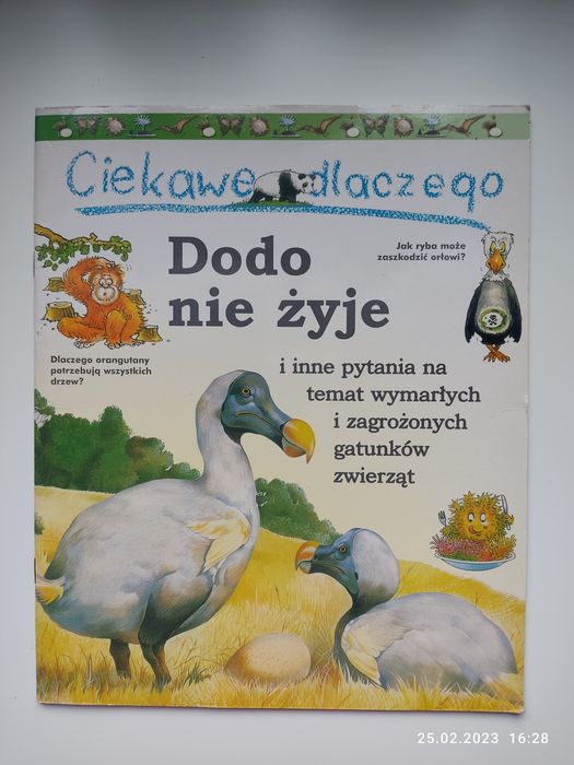 Książka Dodo nie żyje