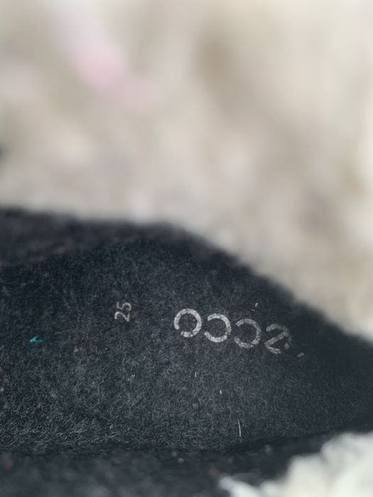 Черевики зимові для дівчинки Ecco 25 розмір