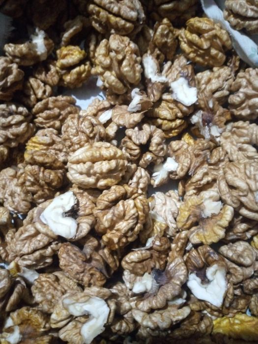 Горіх грецький,горіх волоський чищенні 2025 року