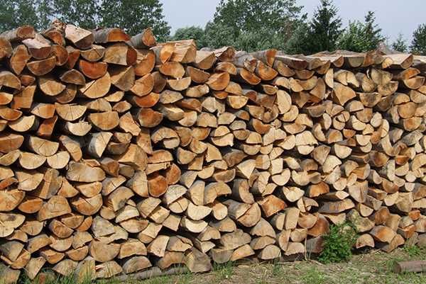 Дрова колоті клен сосна акація береза дуб є різні варіанти Дрова сосна