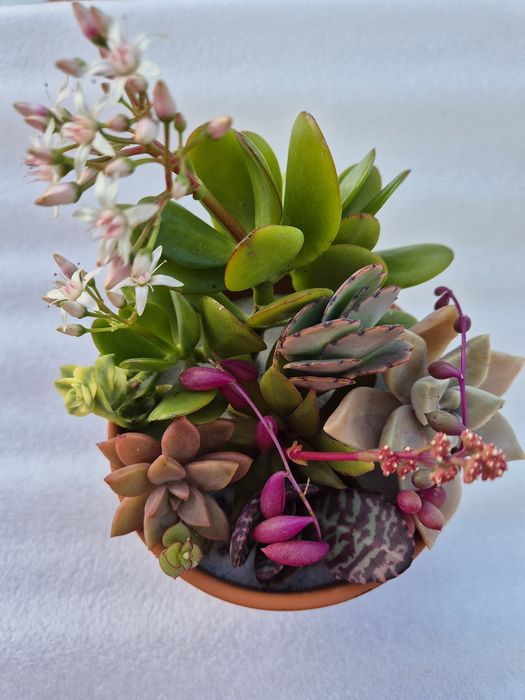 Vaso decorativo 12cm