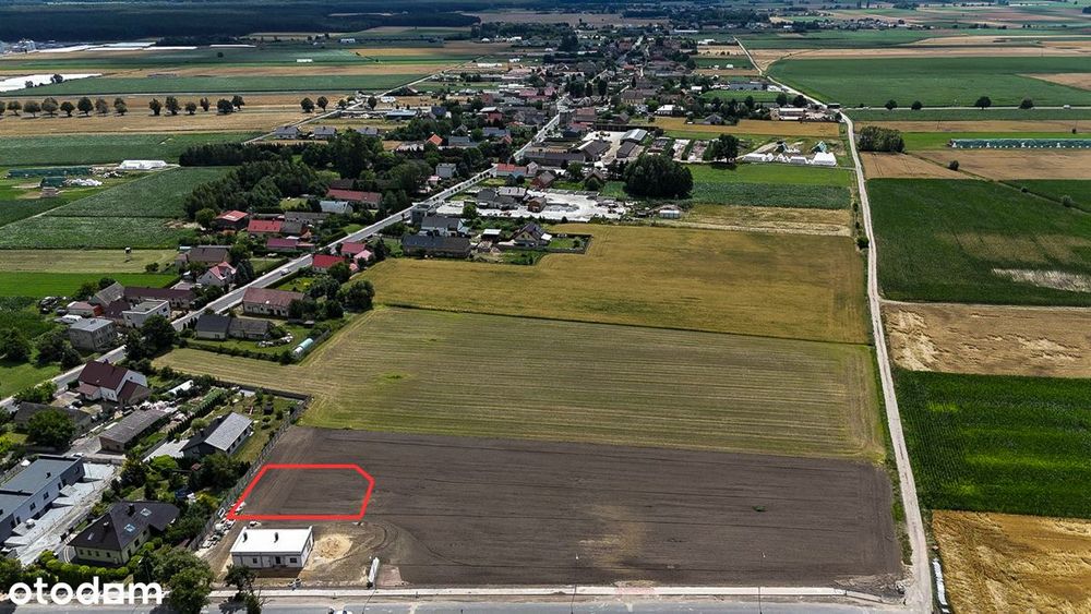 Działka budowlana 695 m² | Lasocice | Media | Warunki zabudowy