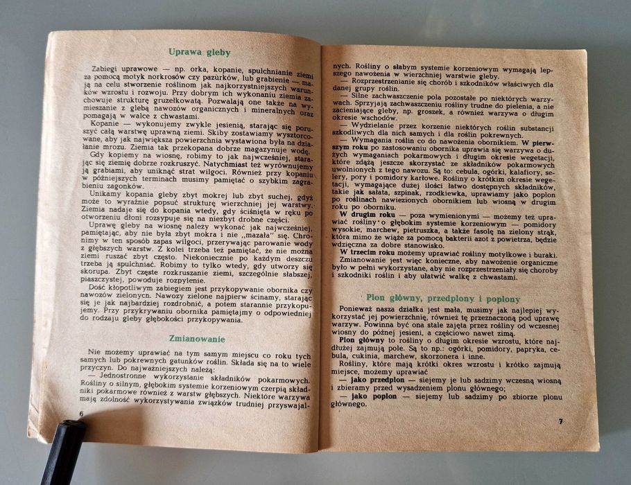 Zaborska, Zawistowska - Warzywa na działce i w kuchni