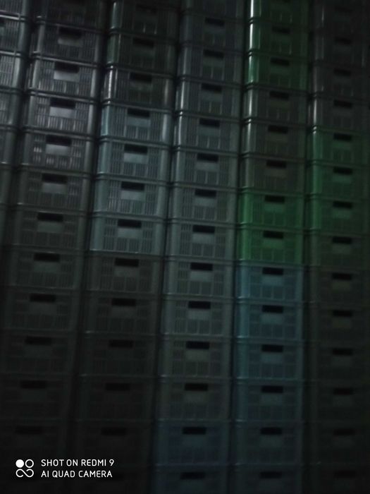 Skrzynki, Paczki, Pojemniki plastikowe 15 kg Nowe