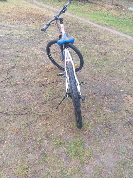 Горний велосипед 29