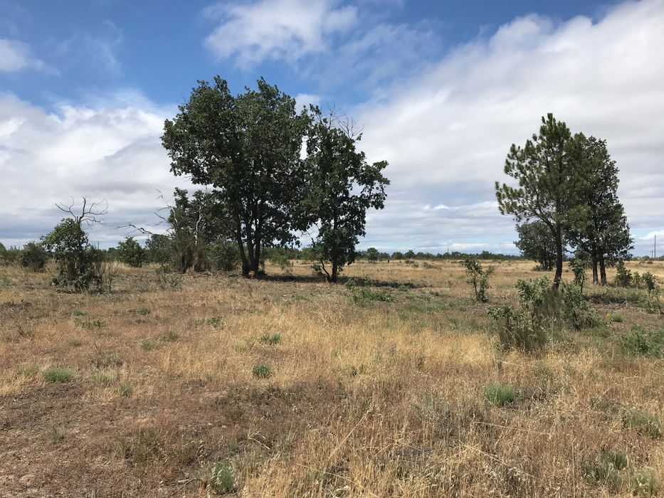 Quinta com 4 Hectares