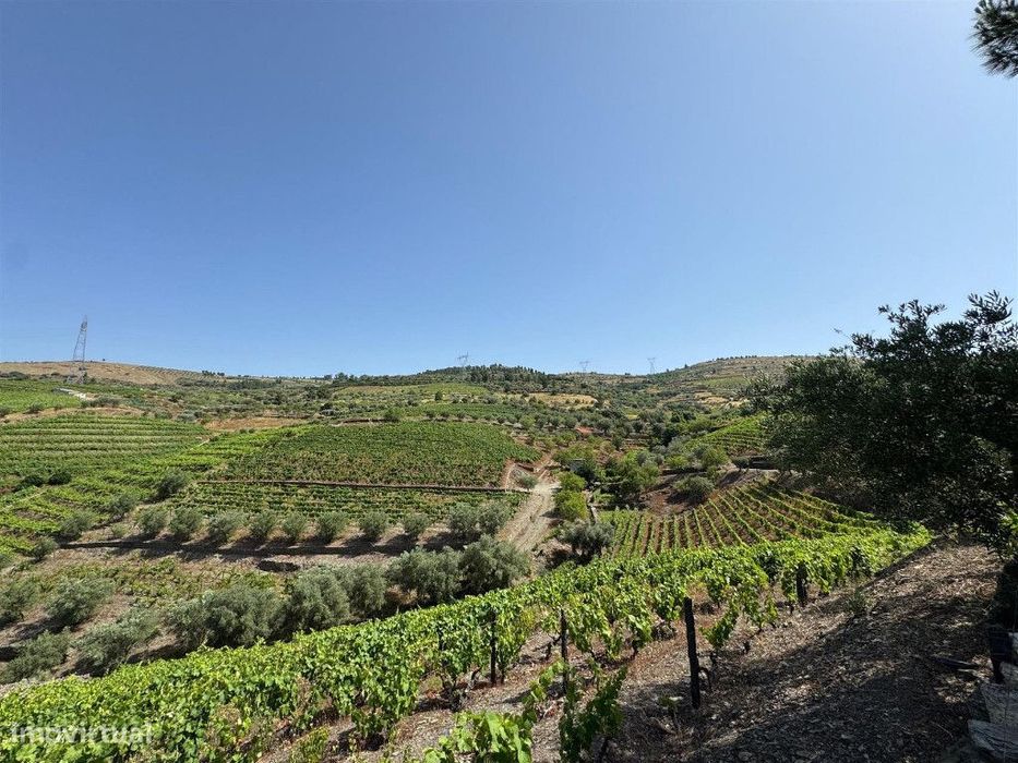 Quinta, Douro — Castanheiro do Sul, Viseu