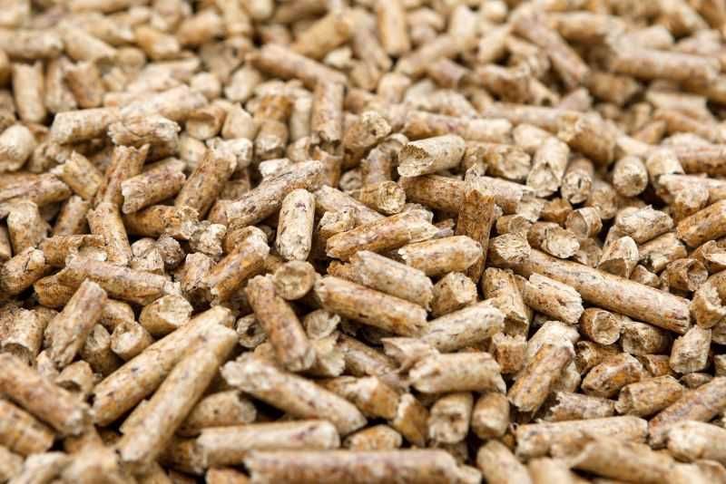 Pellet drzewny z Niemiec klasy A1 luzem