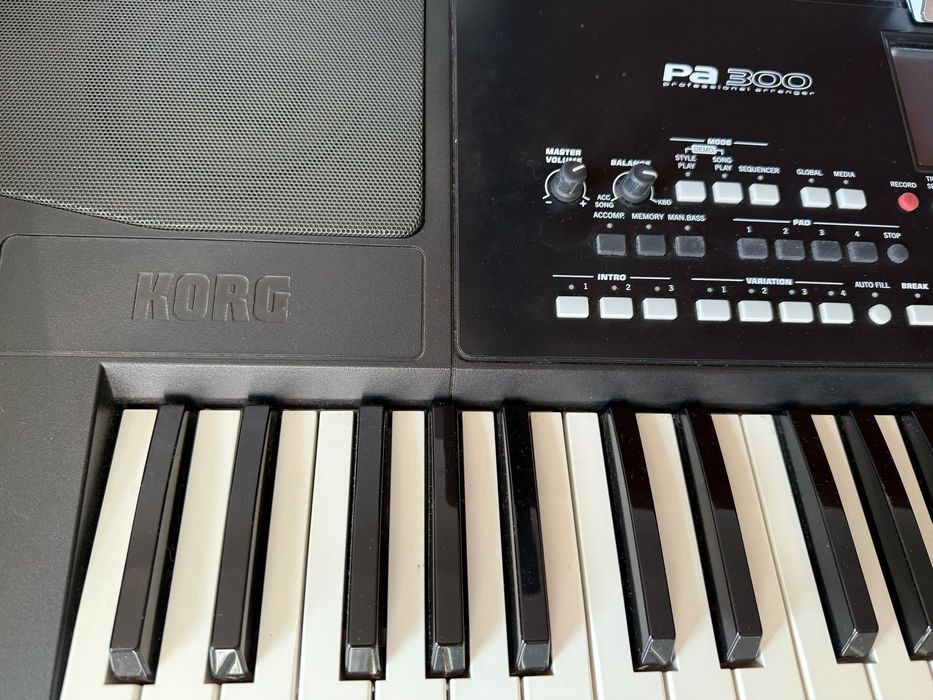 Синтезатор Korg pa 300