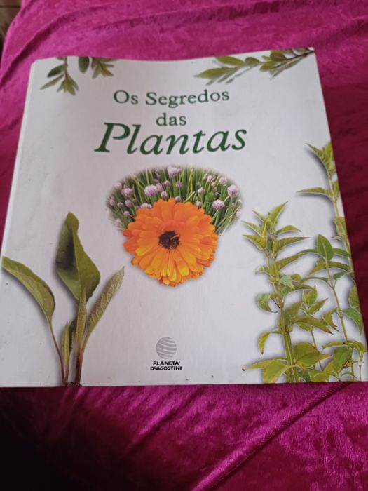 Enciclopédia Os Segredos  das Plantas