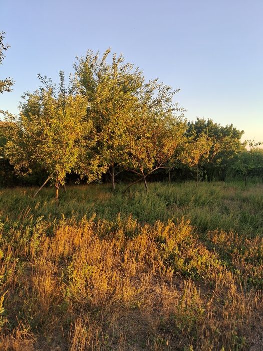 Продам дом с.Ульяновка в хорошем жилом состоянии.