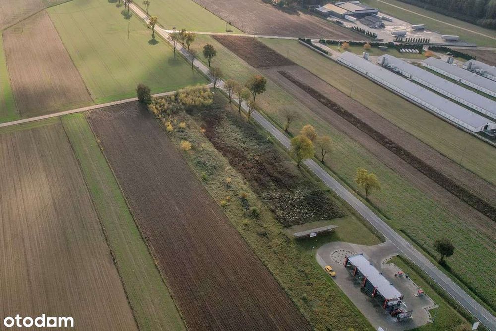 Sprzedam działkę przy obwodnicy Sierpca DK560 - Widok 2