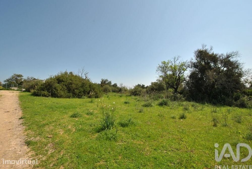Terreno Agrícola em Paderne