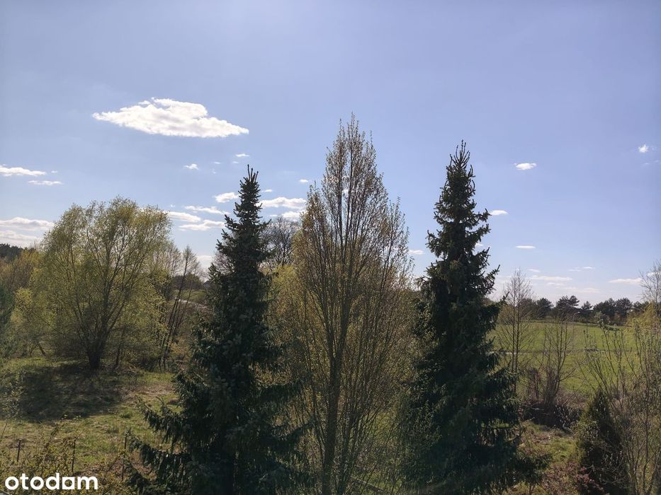 Kicin Wichrowa Gmina Czerwonak