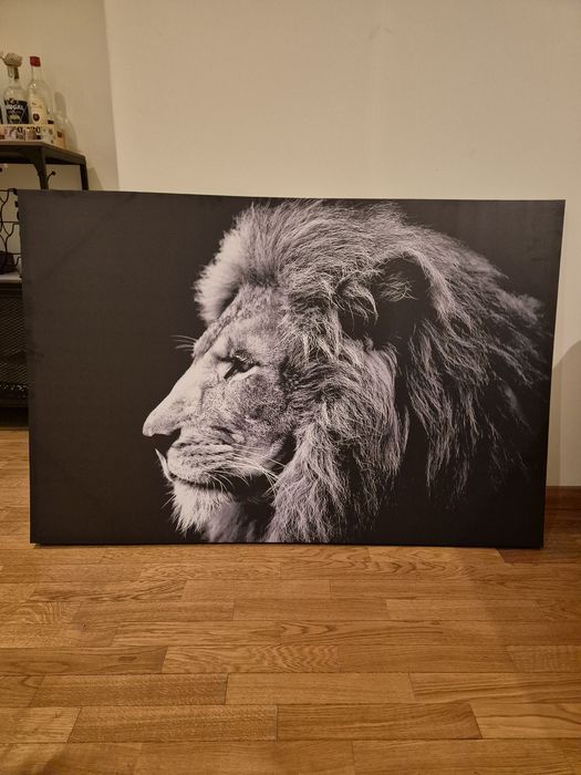 Tela decorativa leão - 118x78cm